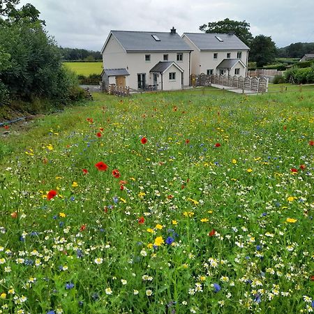 Family Country Cottage With Stunning Mountain Views Myddfai Eksteriør billede