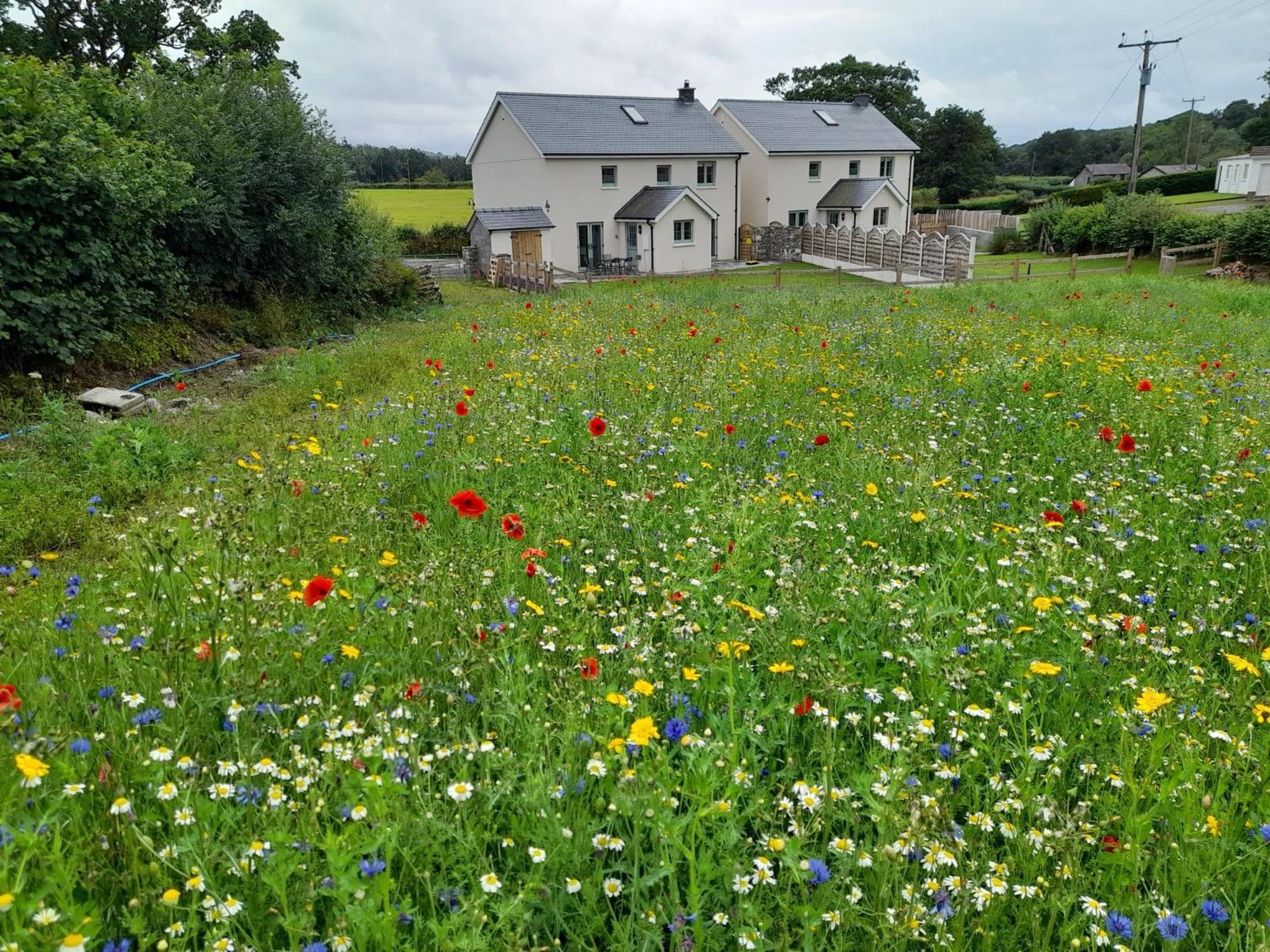Family Country Cottage With Stunning Mountain Views Myddfai Eksteriør billede